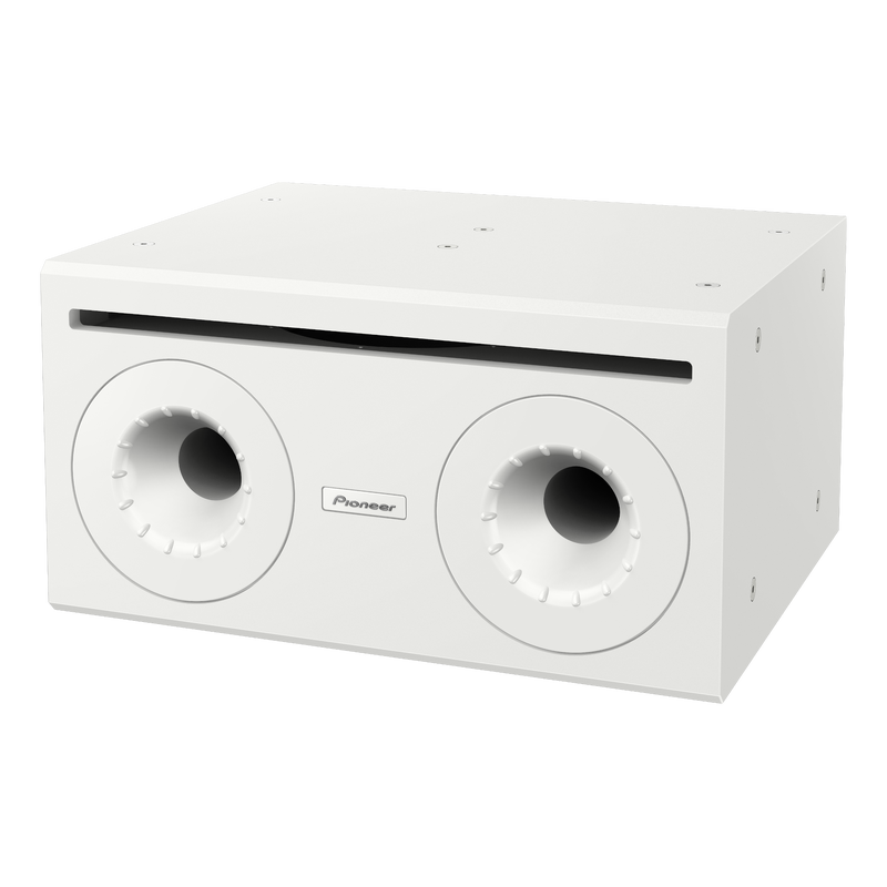 Pioneer Professional Audio subwoofer