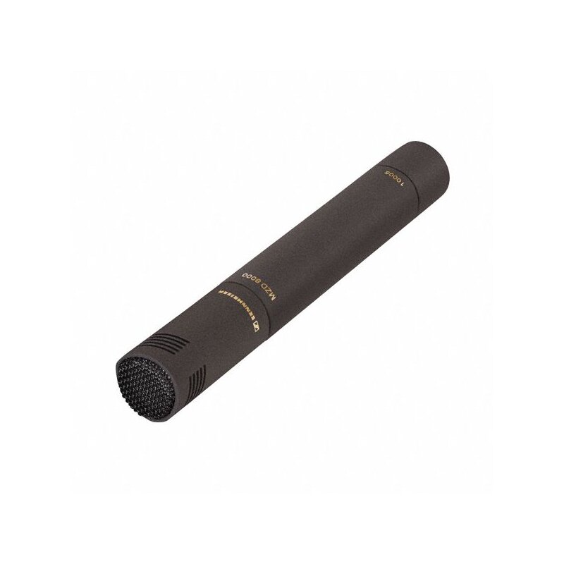 [502097] Sennheiser MZD 8000