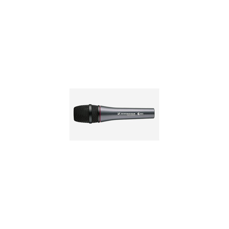 Sennheiser E 865