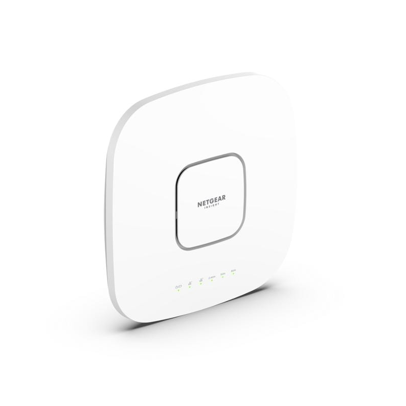 NETGEAR AP NG-WAX610Y-100EUS
