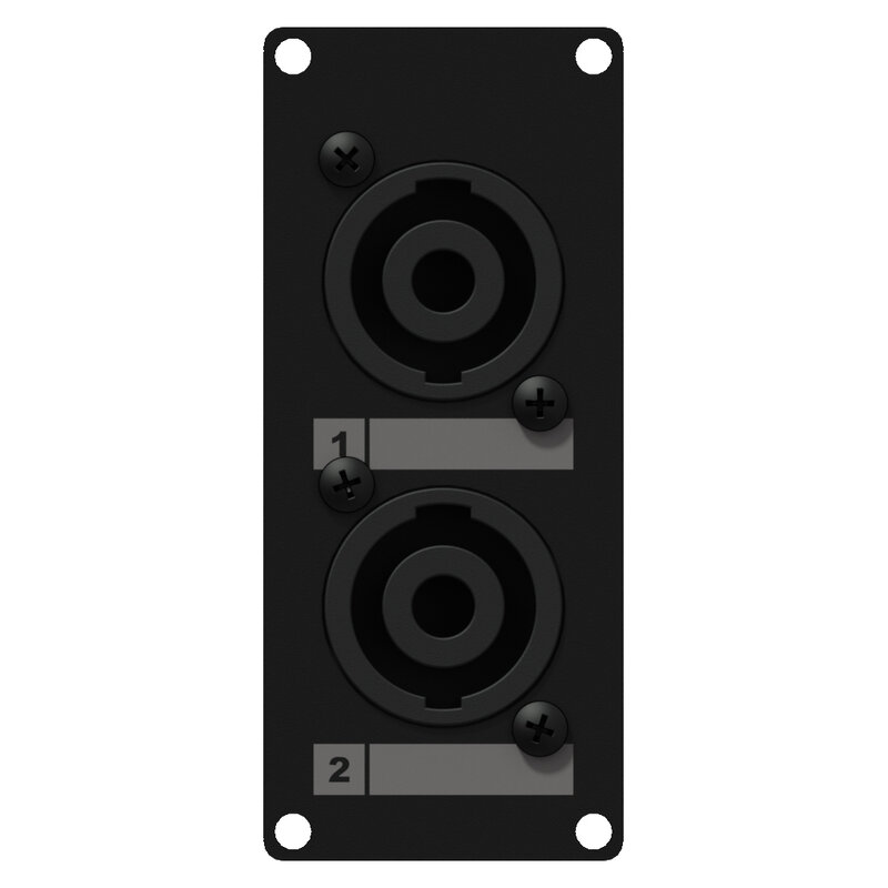 Caymon Casy 1 space 2x speakon to 4-pin
