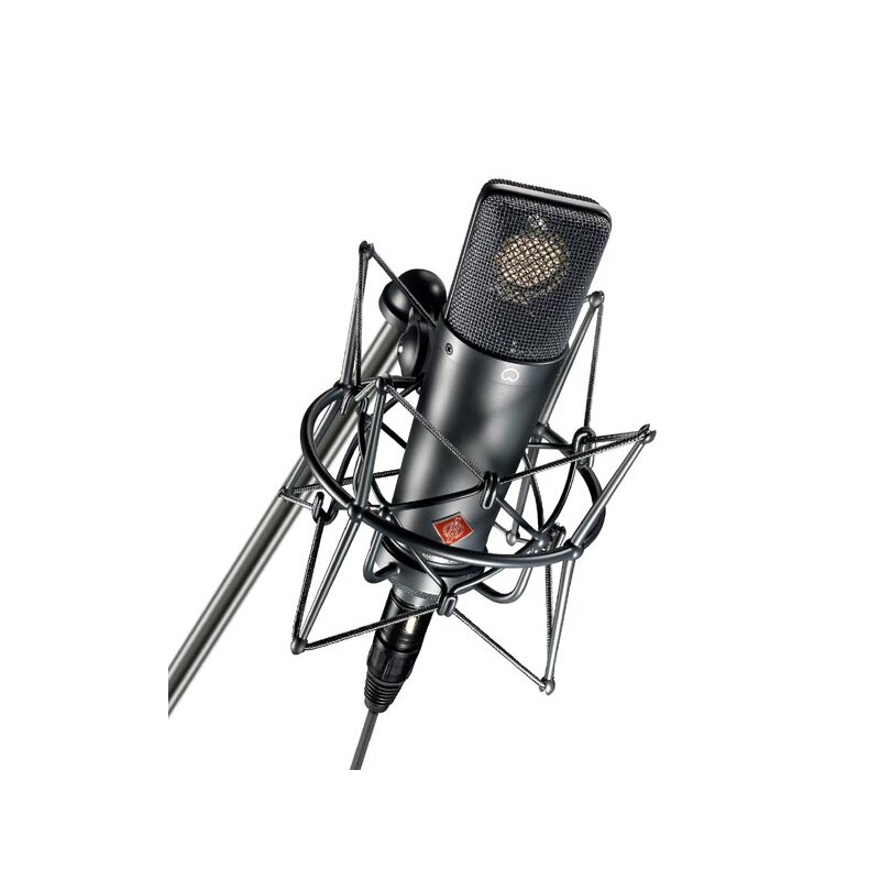 [8381] Neumann TLM 193