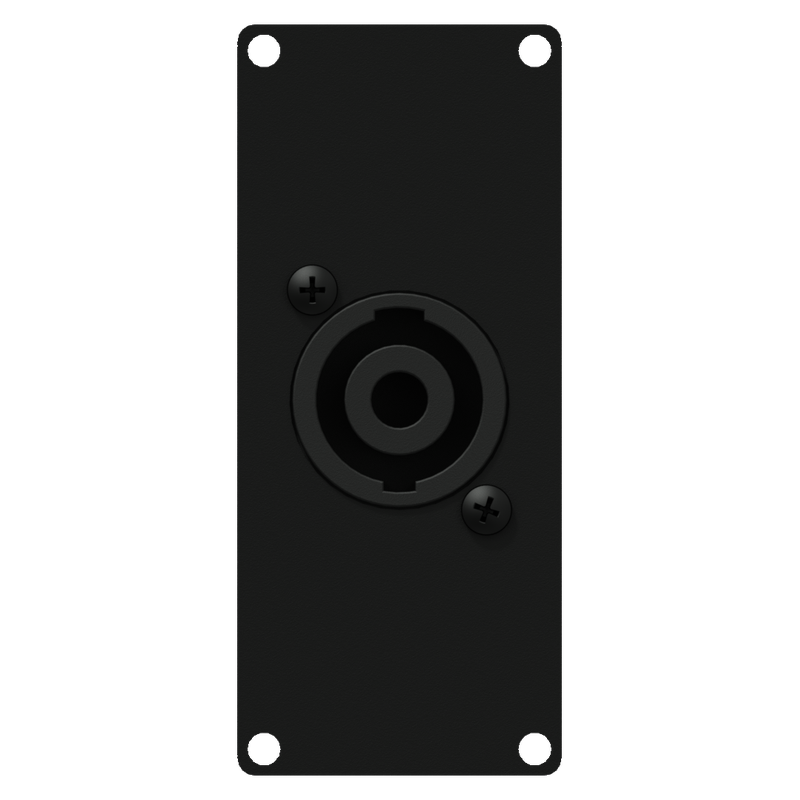 Caymon Casy 1 space speakon to 4-pin tb