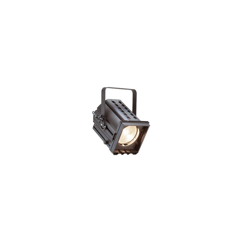 [10SF2020GY16] Selecon Arena Fresnel 2kW/2k5W GY16