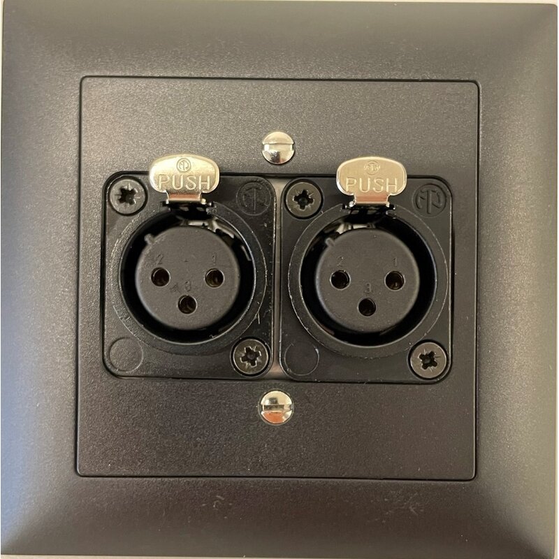 FS Veggpanel 2xXLR Hun til Dante Input