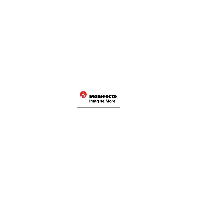 [MA244N] Manfrotto Variable Friction Arm Alone